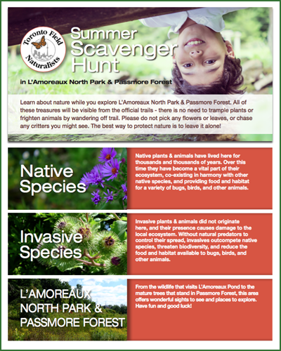 Explore nature in L’Amoreaux North Park & Passmore Forest this summer