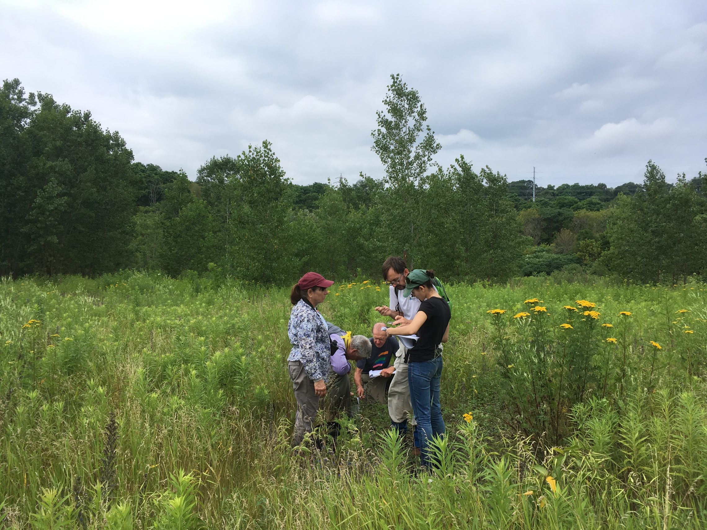CFMP team conducting vegetation assessment