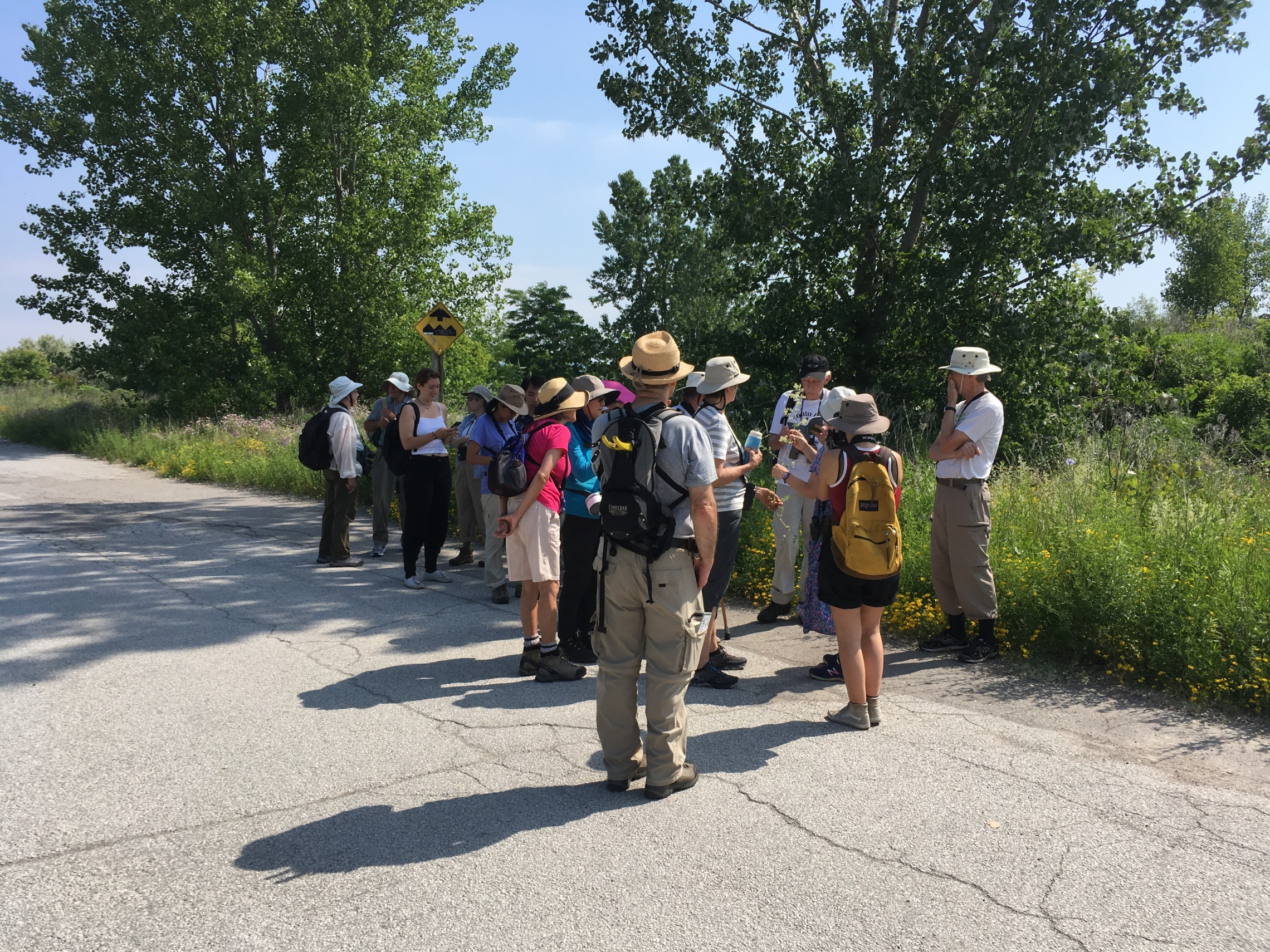 TFN members on the spine road in Tommy Thompson Park
