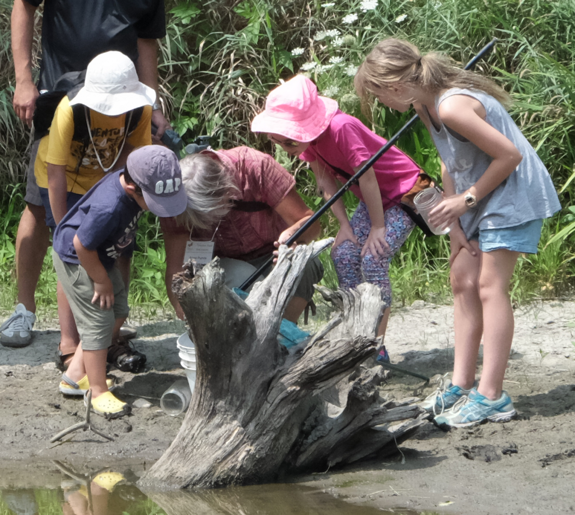 Junior Naturalists outing on Aug 5, 2018