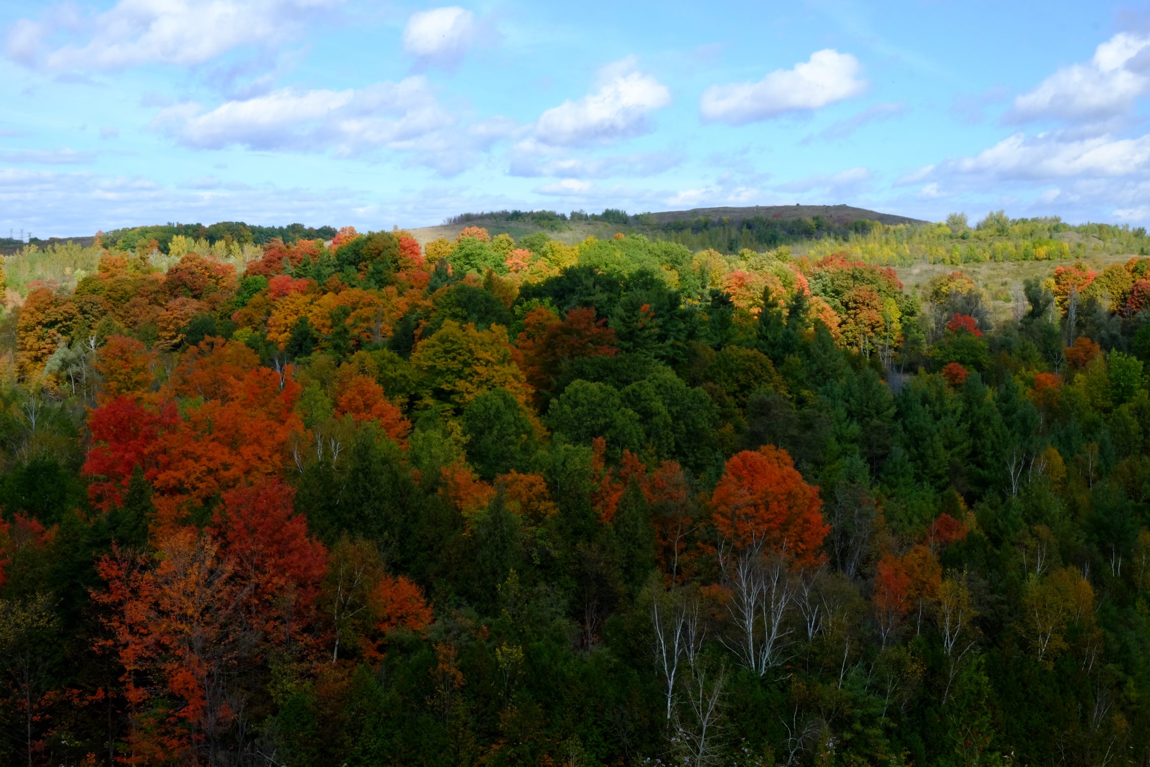 Fall colours from Vista Trail, Rouge Park