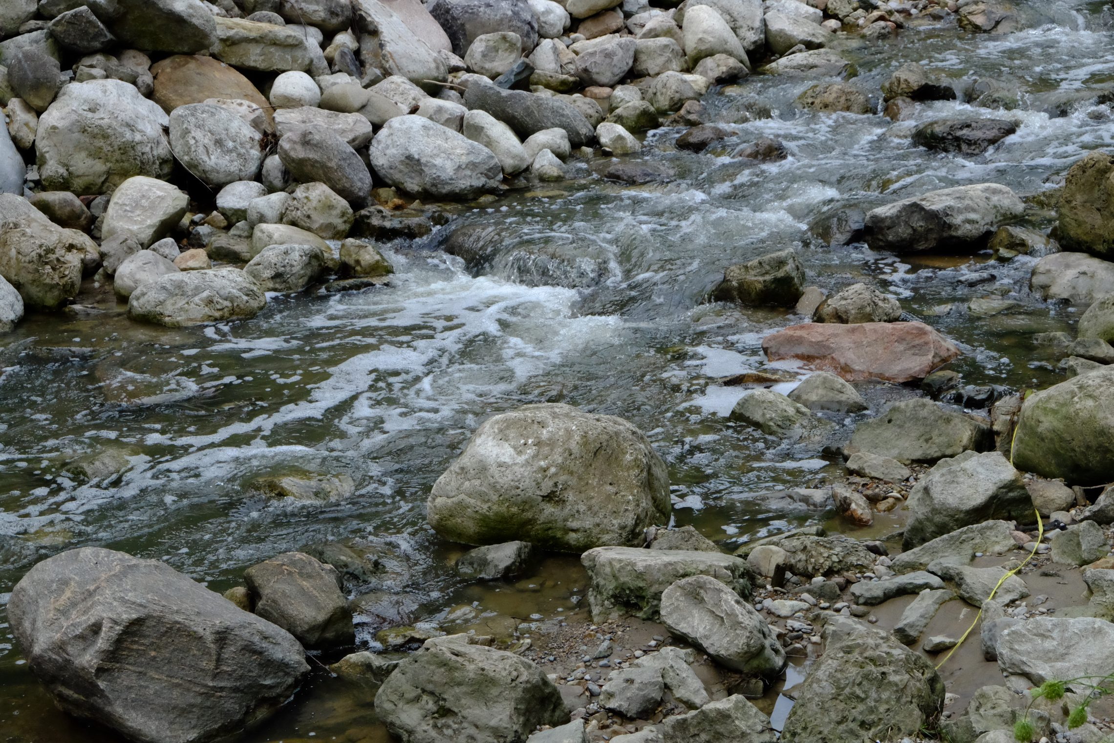 Closeup of Wilket Creek
