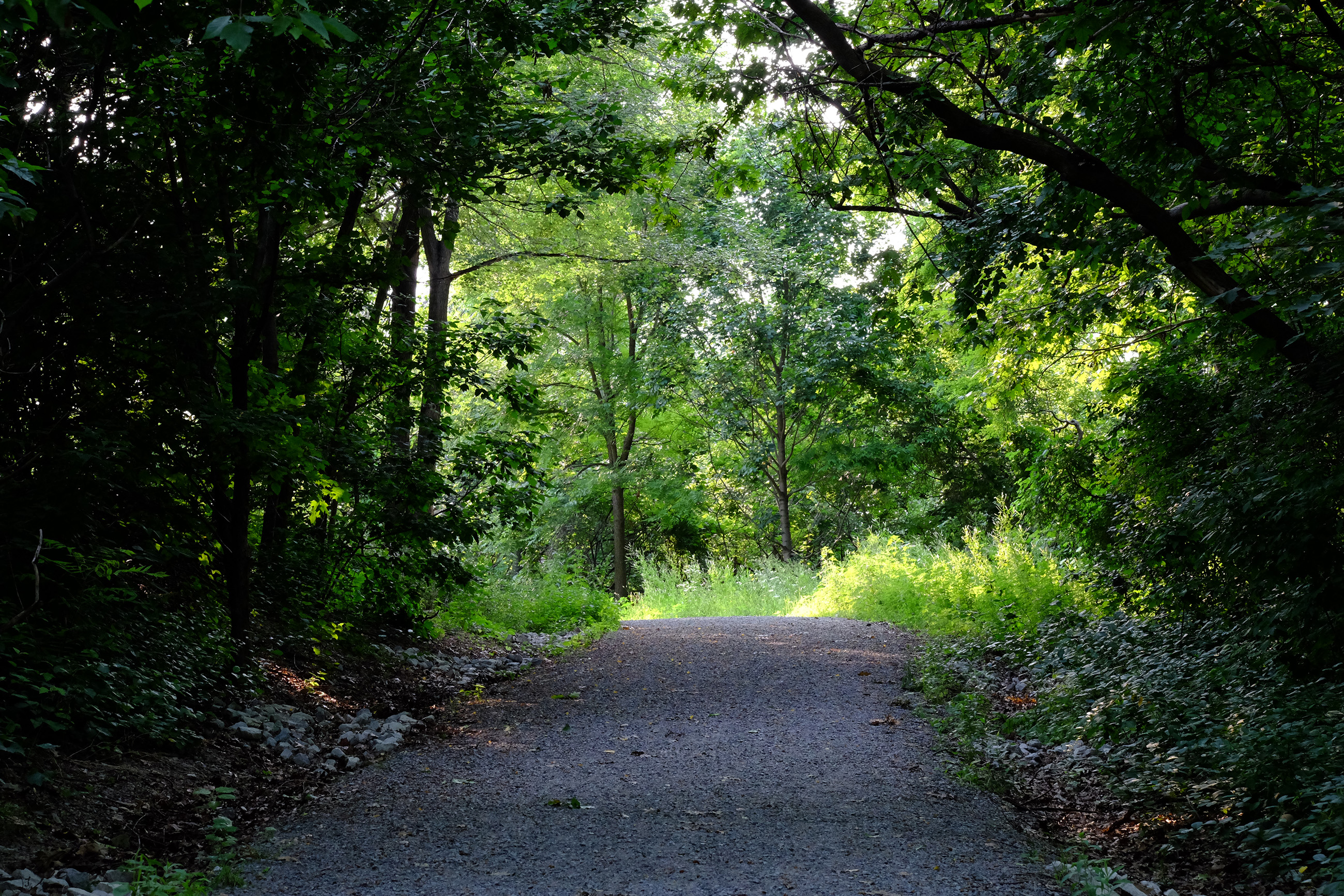 Trail in Sun Valley near Crothers Woods