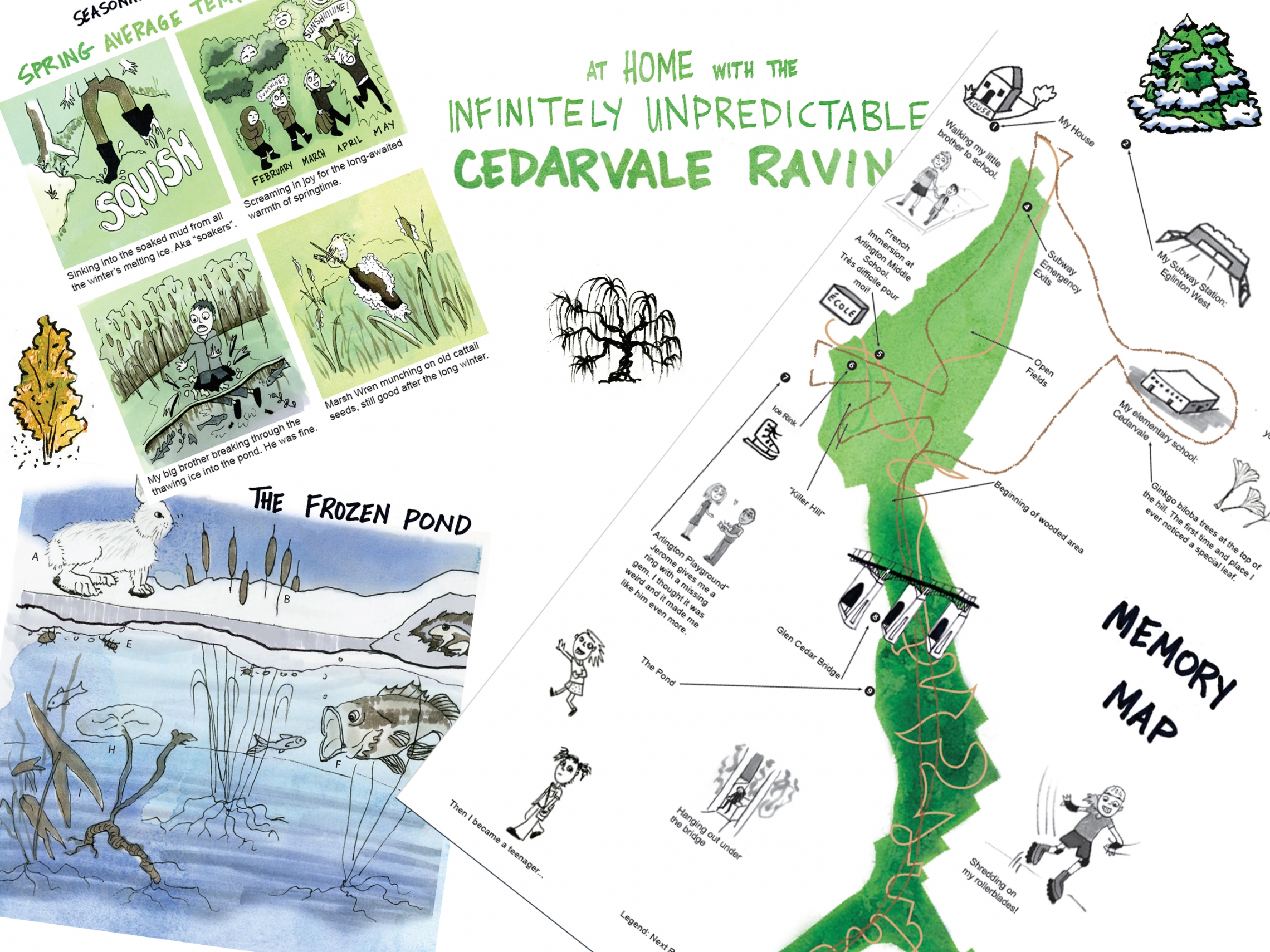 Montage from At Home with the Infinitely Unpredictable Cedarvale Ravine by Adrian Tenney