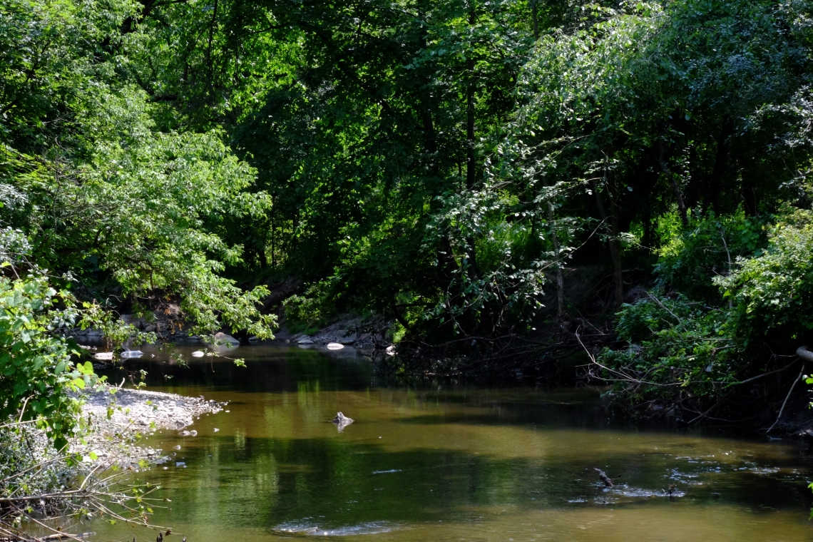 West Don River in Glendon Forest